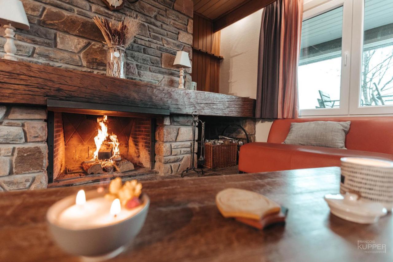 Vila Le Loup Gris - 35 Pers - Vue-Wellness, Butgenbach-Malmedy Exteriér fotografie